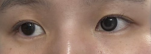 Chapun 샤푼 1Day 토키토메그레이(1박스 10개들이) 리뷰 사진 2