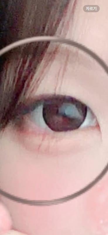 Motecon 모테콘 초모테콘울트라먼슬리 초리소링브라운(1박스 2개들이)  리뷰 사진 2